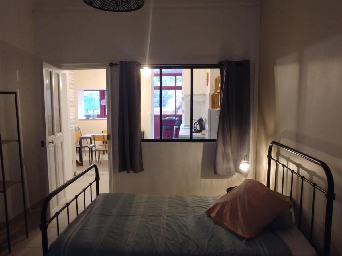 Rez De Chaussee Centre, Jardin Apartment Narbonne Ngoại thất bức ảnh